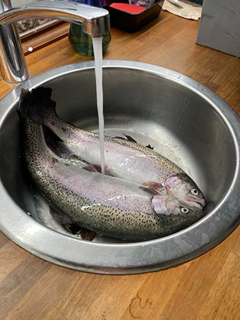 Solbjerggaard Ørredfiskeri 2024 fangst Benny Nielsen